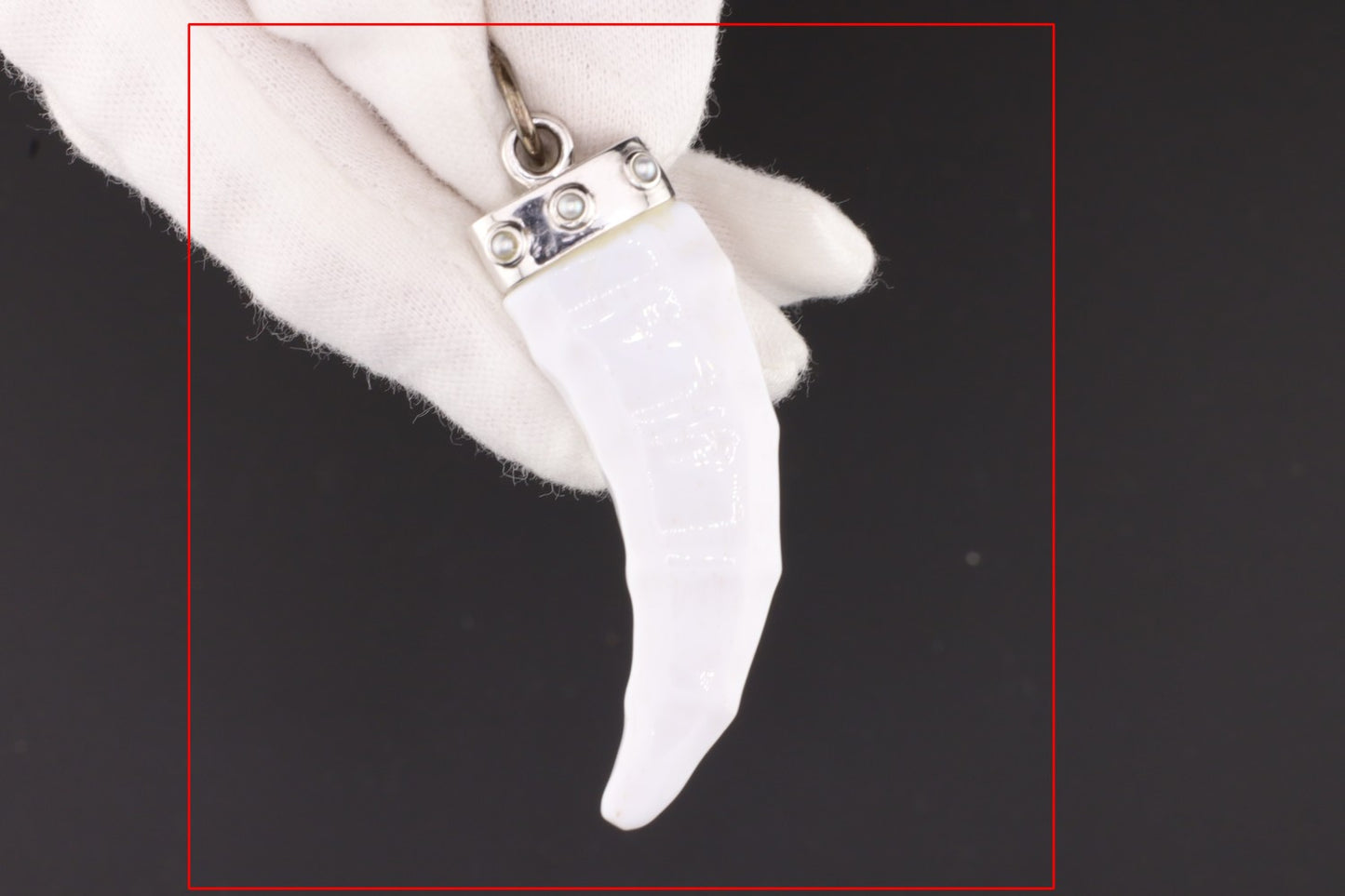 Anhänger CAI Wild Thing Achat+