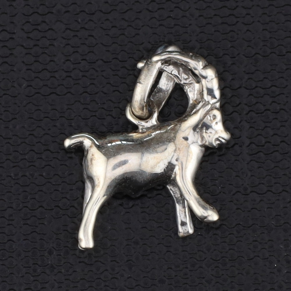 Anhänger Sternzeichen groß