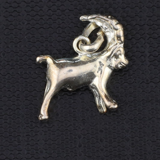 Anhänger Sternzeichen groß