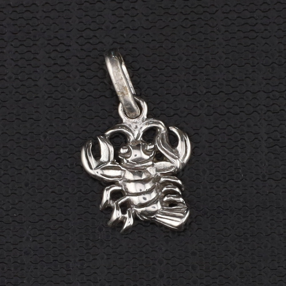 Anhänger Sternzeichen groß