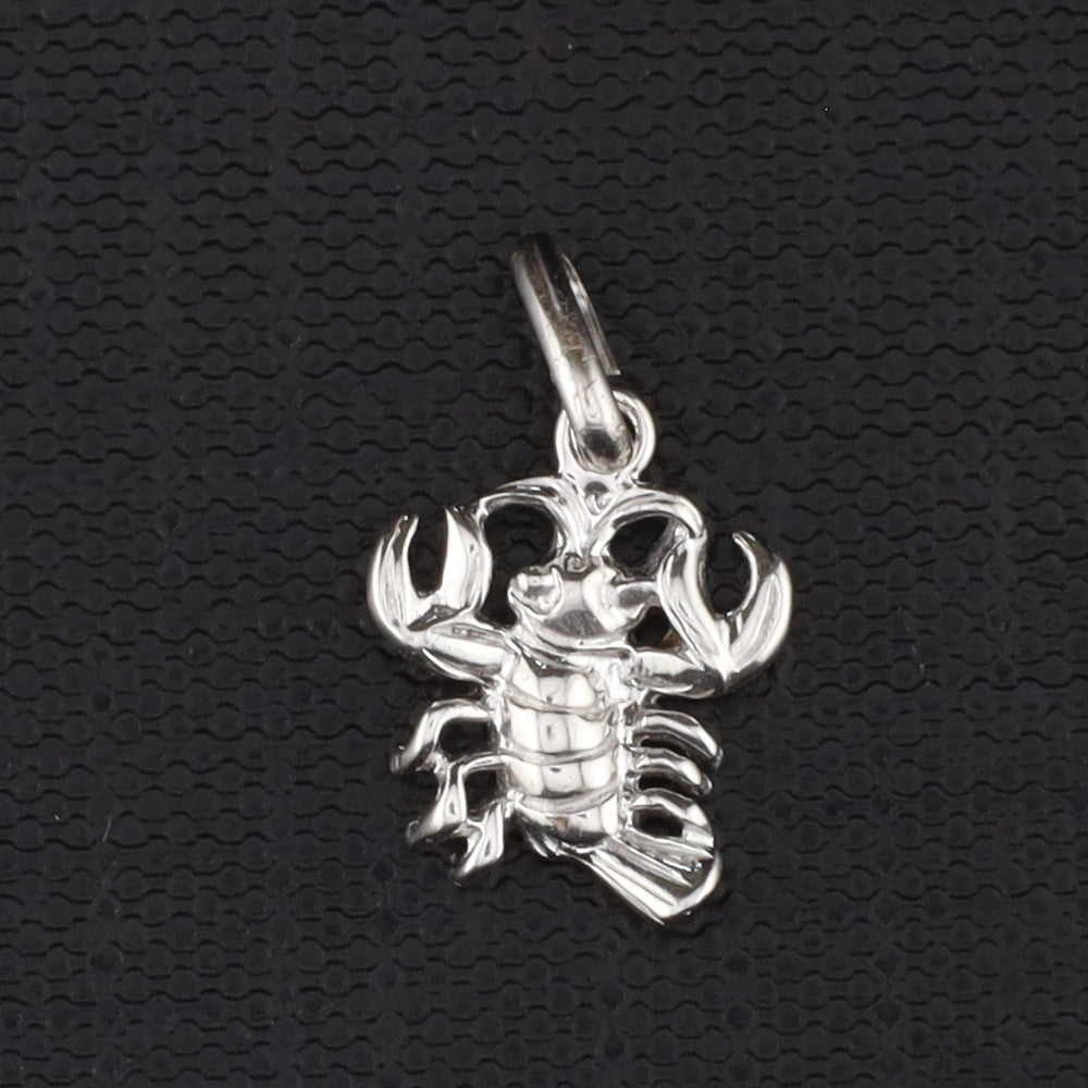 Anhänger Sternzeichen groß