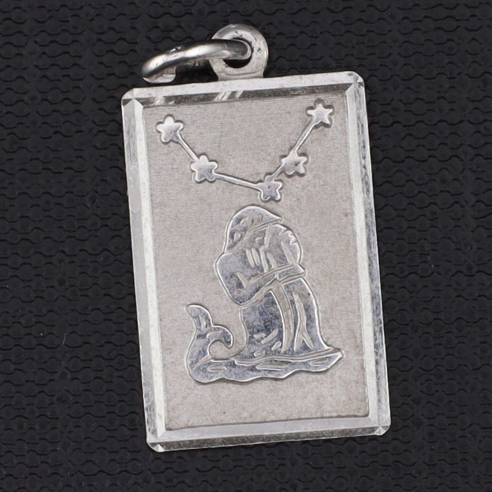 Anhänger Sternzeichen divers